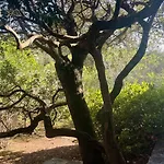 Tarco Villa *