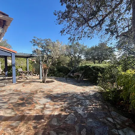 Tarco Порто-Веккьо