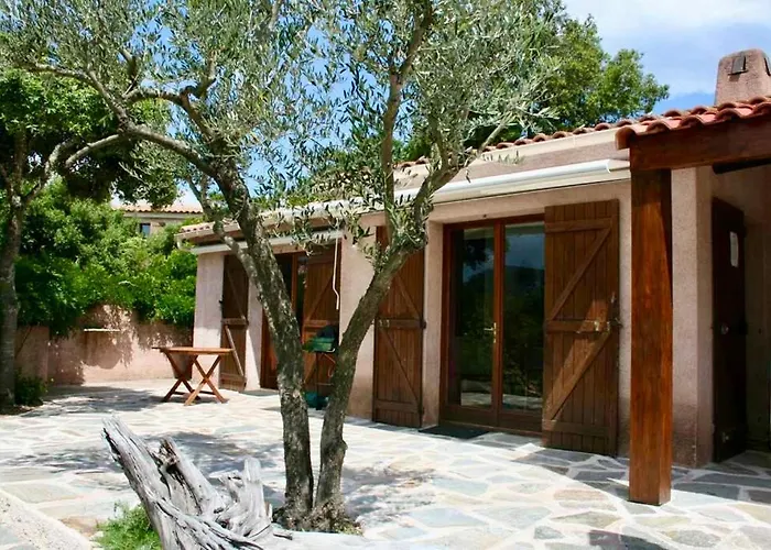 Tarco * Porto-Vecchio